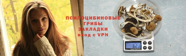 крисы Абаза